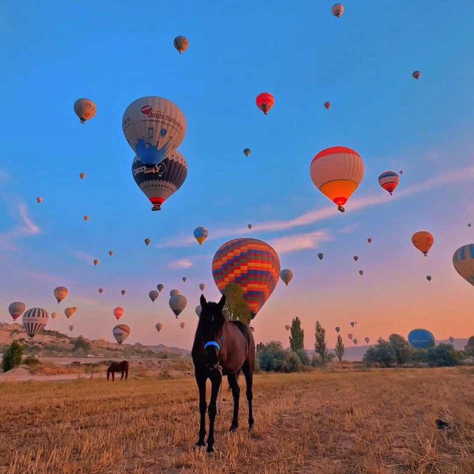 770.000 Mensen gingen de lucht in: Een recordjaar voor Cappadocië’s luchtballonnen